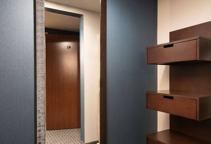 חדר סטנדרט מיטה זוגית, Hilton Garden Inn Denver/cherry Creek