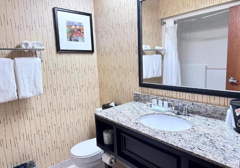 Люкс Кровать Кинг, Holiday Inn Express Big Rapids, An Ihg