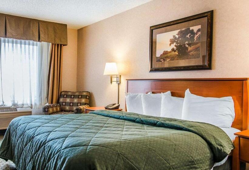 Стандартный Номер Кровать Кинг, Quality Inn & Suites