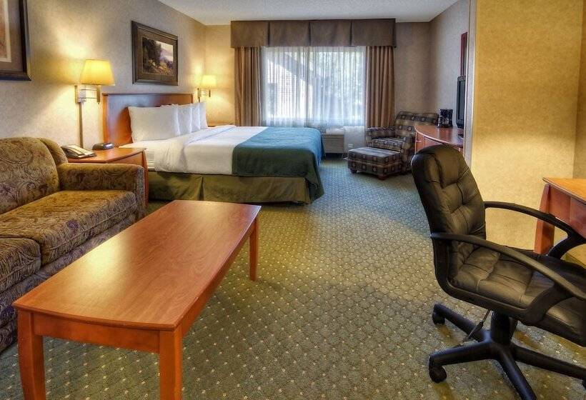 Люкс, Quality Inn & Suites