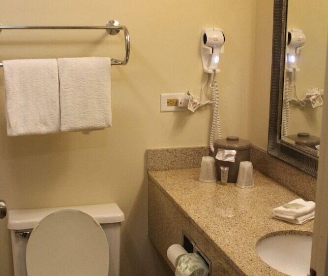 수피리어 룸, Red Roof Inn Gurnee  Waukegan