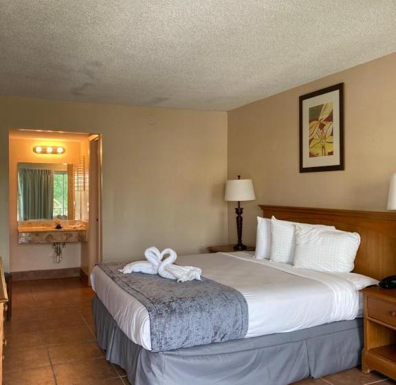 Deluxezimmer Poolblick, Altamonte Springs Hotel And Suites