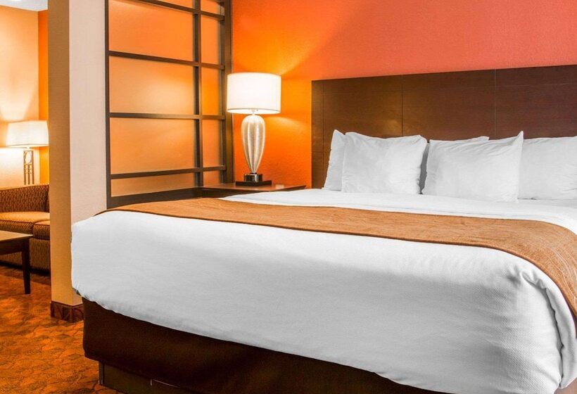 Люкс Кровать Кинг, Comfort Inn & Suites And Conference Center