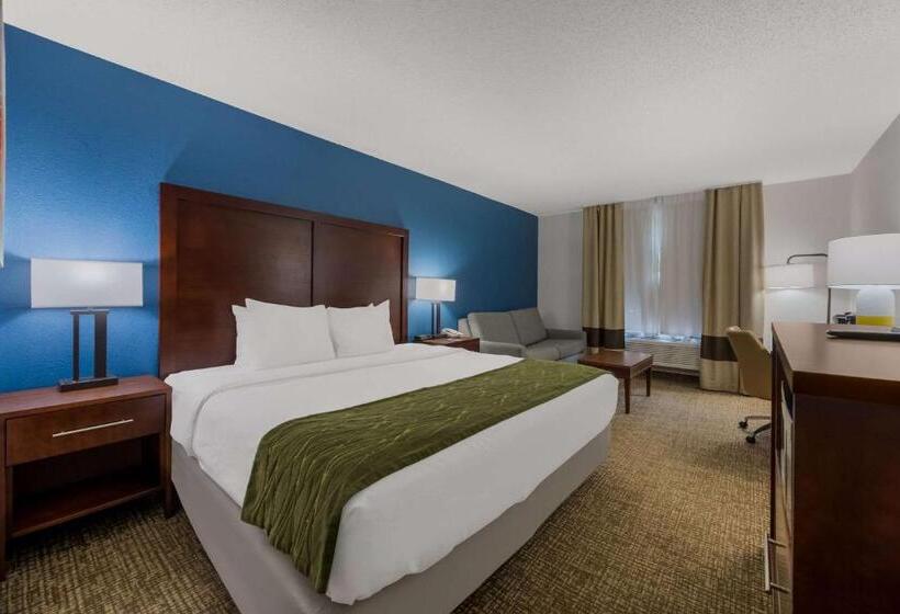 Стандартный Номер Кровать Кинг, Comfort Inn Newport News  Hampton I64