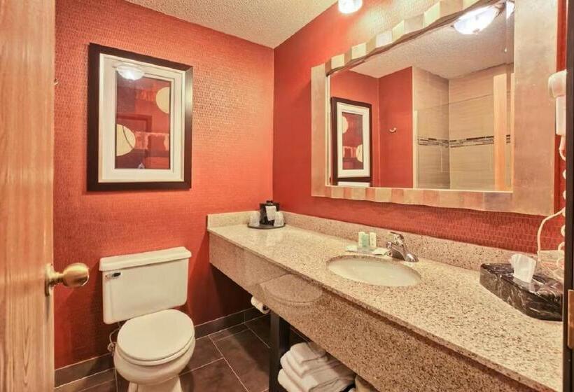 Номер Стандарт, Comfort Inn & Suites And Conference Center
