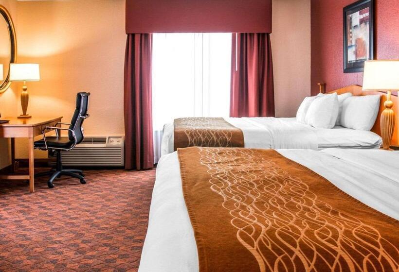 Номер Стандарт, Comfort Inn & Suites And Conference Center