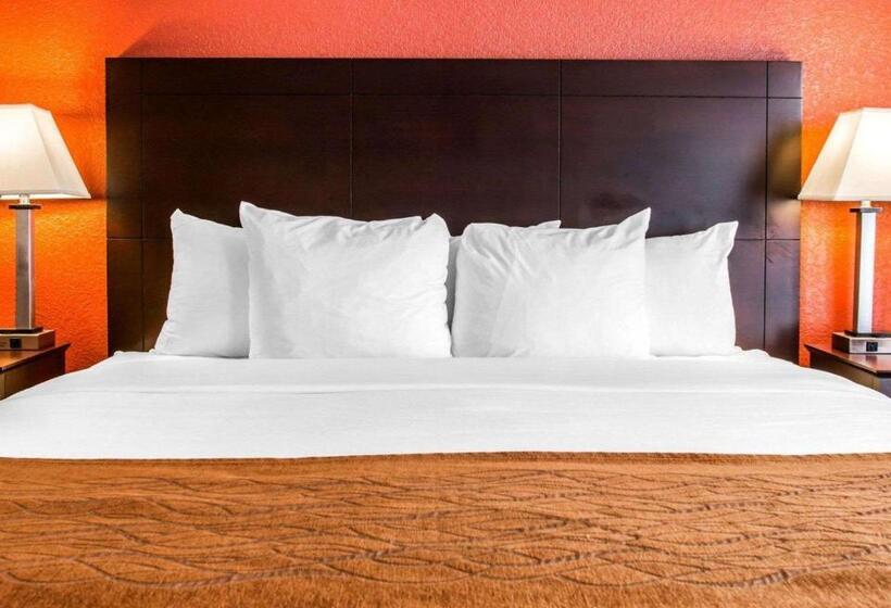Номер Стандарт Кровать Кинг Адаптированный для Инвалидов, Comfort Inn & Suites And Conference Center