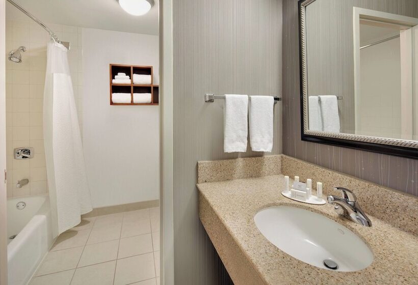 Habitació Estàndard 2 Llits Matrimoni, Courtyard Dallas Addison Midway
