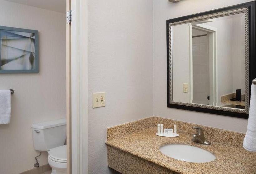 Standaardkamer met 2 Tweepersoonsbedden, Courtyard Chicago Wood Dale/itasca