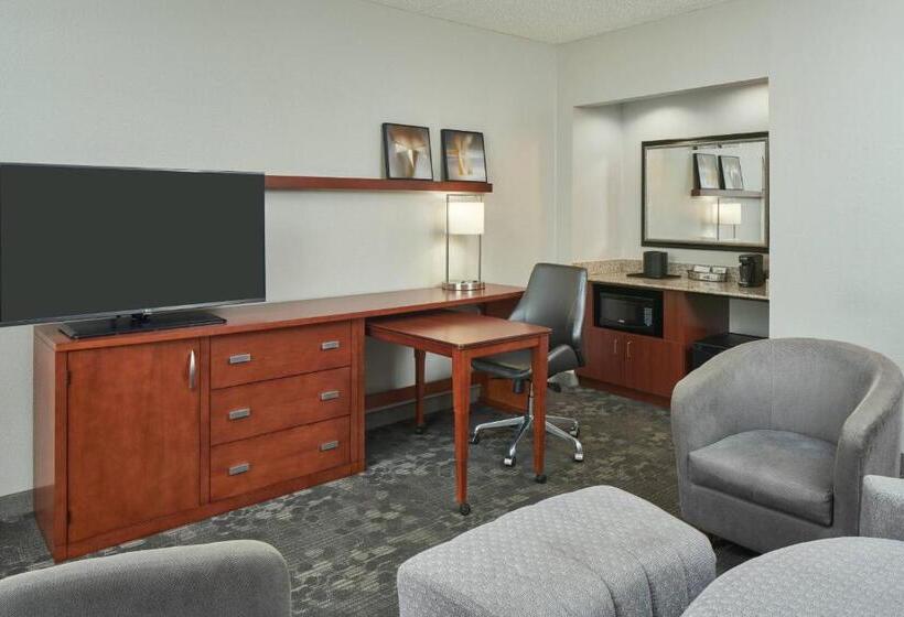 Suite met Kingsize Bed, Courtyard Chicago Wood Dale/itasca