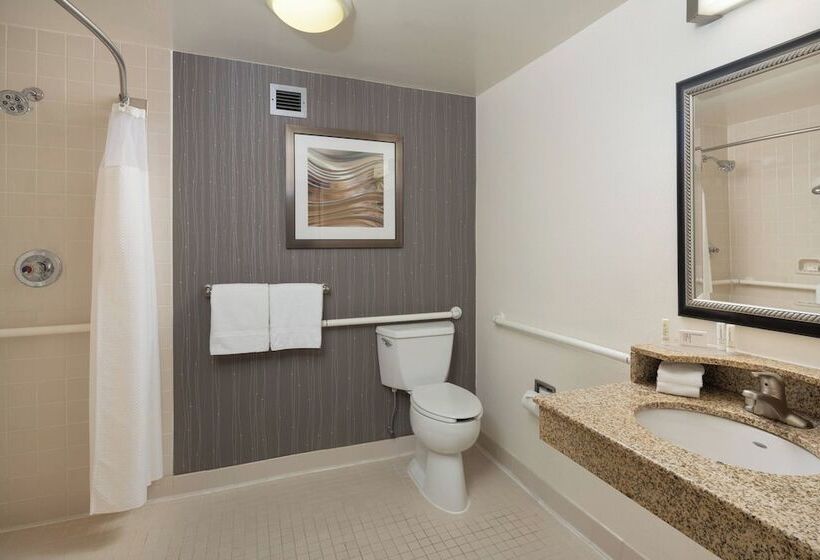 Standaardkamer met 2 Tweepersoonsbedden, Courtyard Chicago Wood Dale/itasca