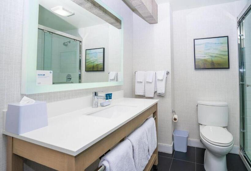 Стандартный Номер Кровать Кинг, Four Points Marriott Salt Lake City Airport