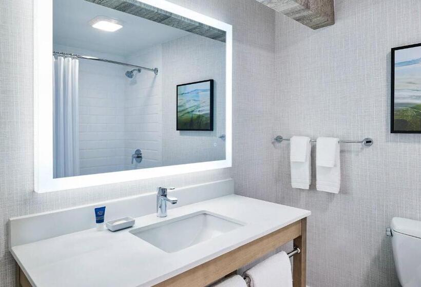 Полулюкс, Four Points Marriott Salt Lake City Airport