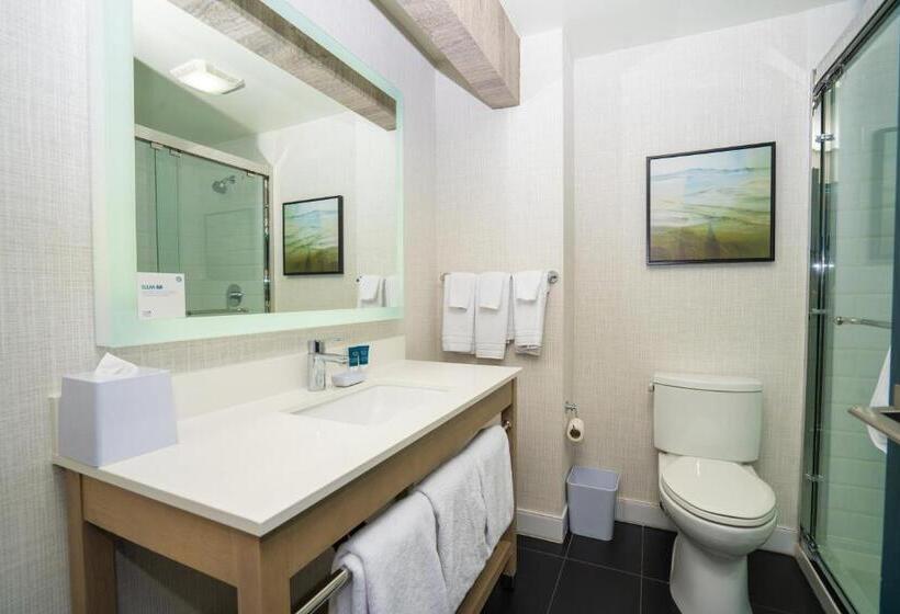 Стандартный Номер Кровать Кинг, Four Points Marriott Salt Lake City Airport