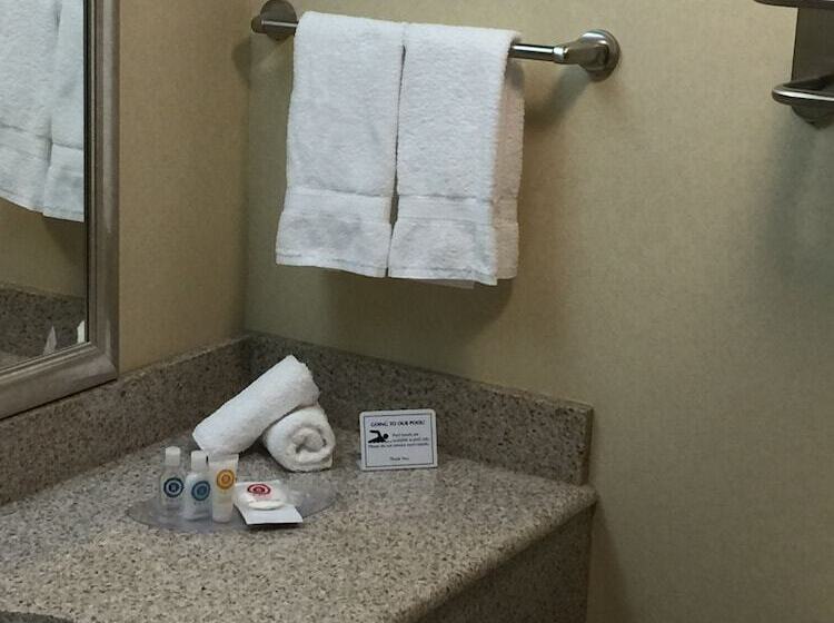 适合残疾人士使用的套间, Comfort Suites Near Gettysburg Battlefield Visitor Center
