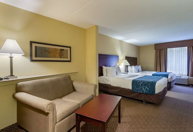 Люкс Адаптированный для Инвалидов, Comfort Suites Near Gettysburg Battlefield Visitor Center