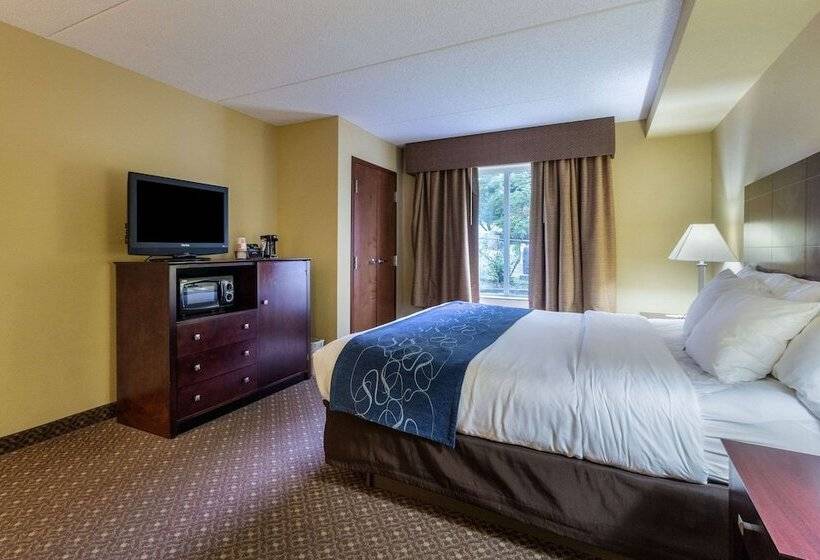 Люкс, Comfort Suites Near Gettysburg Battlefield Visitor Center
