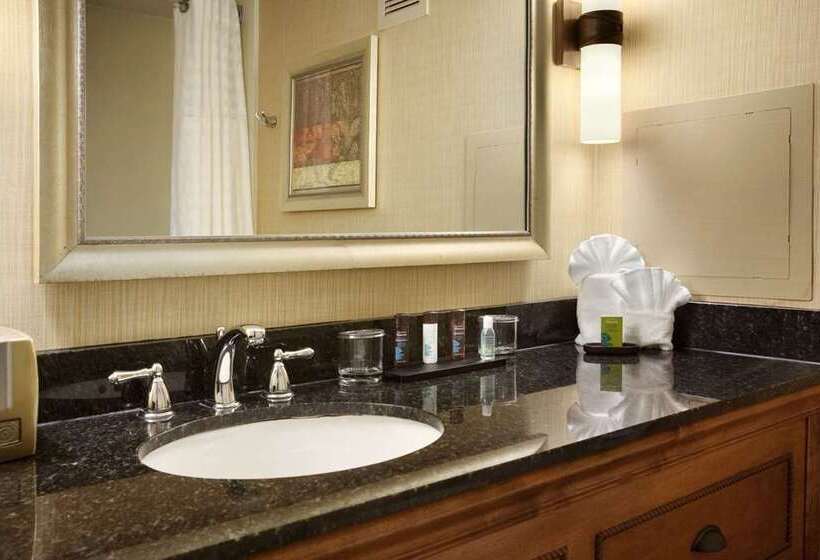 Suite Łóżko King Size, Embassy Suites By Hilton Indianapolis Downtown