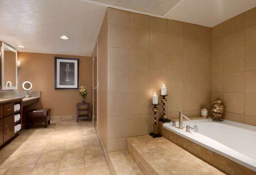 Suite Łóżko King Size, Embassy Suites By Hilton Indianapolis Downtown