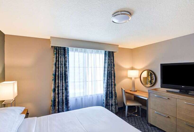 스탠다드 룸, Embassy Suites By Hilton Washington Dc Georgetown