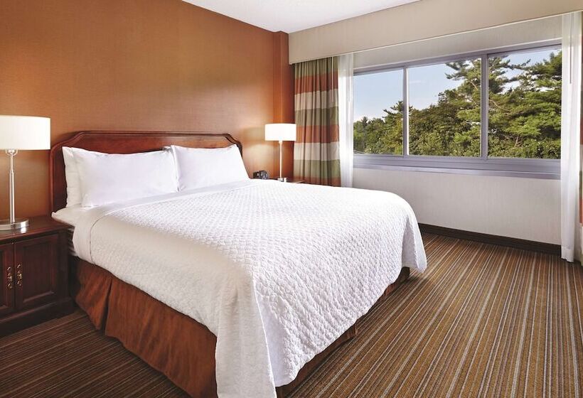 프리미엄 스위트, Embassy Suites By Hilton Parsippany