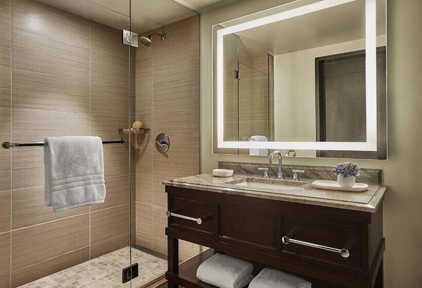 חדר סטנדרט נוף לאגם, Four Seasons Hotel Austin