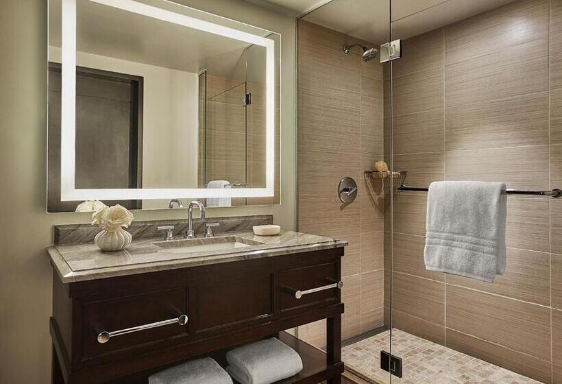 חדר דלוקס,מיטת קינג עם נוף לעיר, Four Seasons Hotel Austin