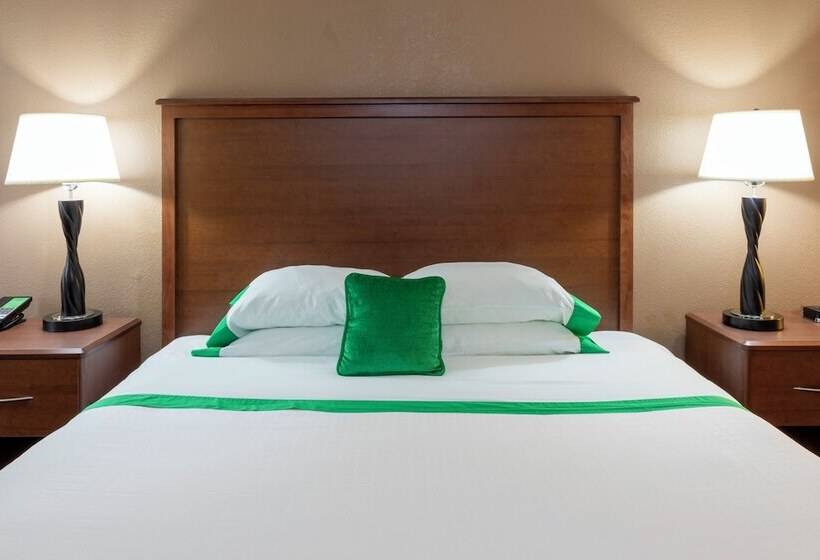 Стандартный Номер Кровать Кинг, Med City Inn & Suites Rochester Mayo Clinic Area