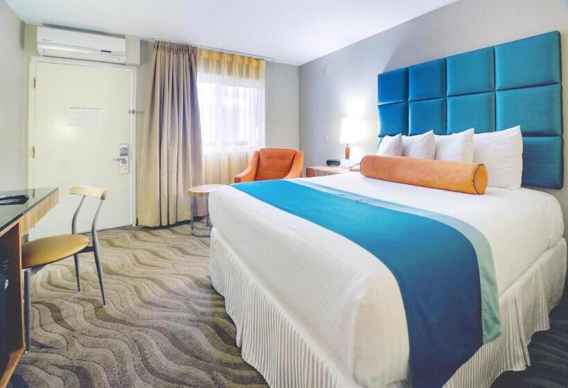标准间, Porto Vista Hotel In Little Italy
