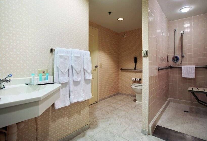 장애인을 위한 스위트, Hilton Chicago/oak Brook Suites