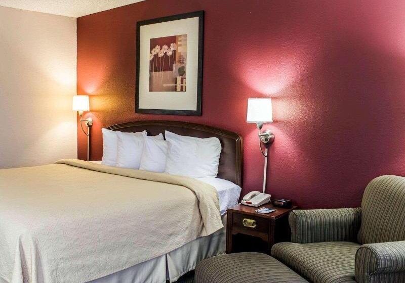 스탠다드 룸 킹사이즈 침대, Quality Inn Roanoke Near Lake Gaston