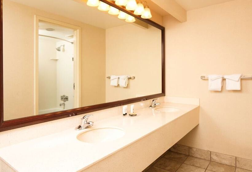 Полулюкс, Red Lion Hotel And Conference Center St. George