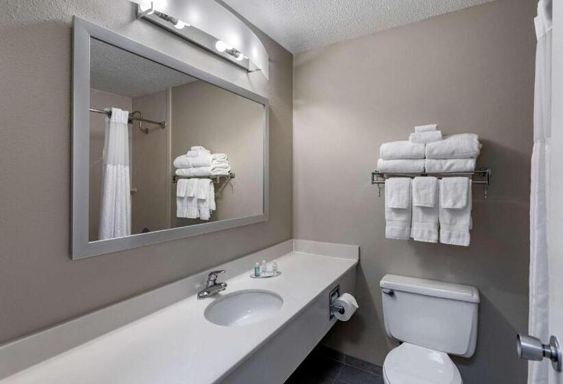 Номер Стандарт, Clarion Inn Sheffield Muscle Shoals