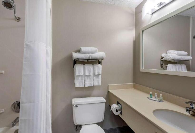 Стандартный Номер Кровать Кинг, Clarion Inn Sheffield Muscle Shoals