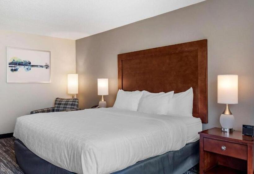 Номер Стандарт Кровать Кинг Адаптированный для Инвалидов, Clarion Inn Sheffield Muscle Shoals