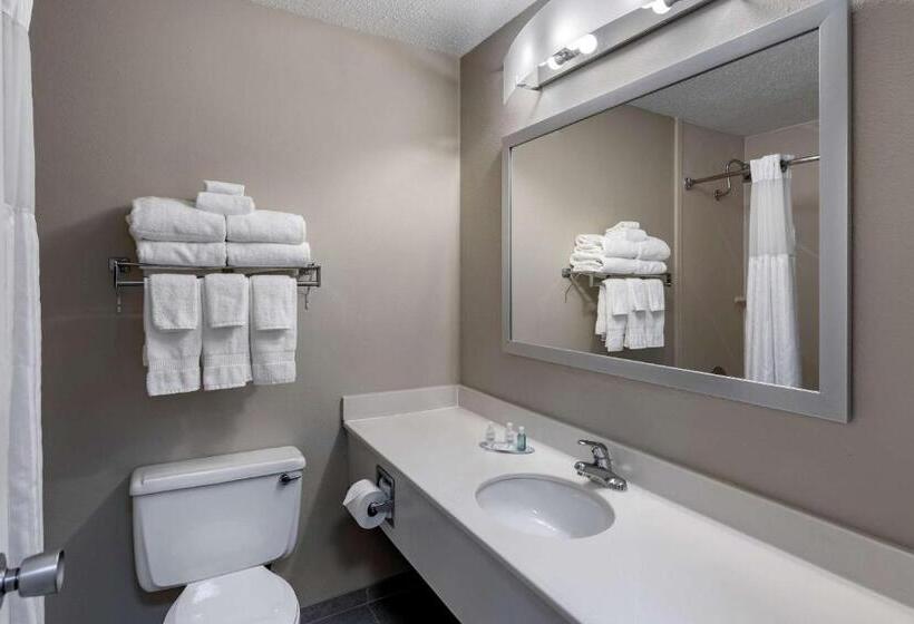 Стандартный Номер Кровать Кинг, Clarion Inn Sheffield Muscle Shoals
