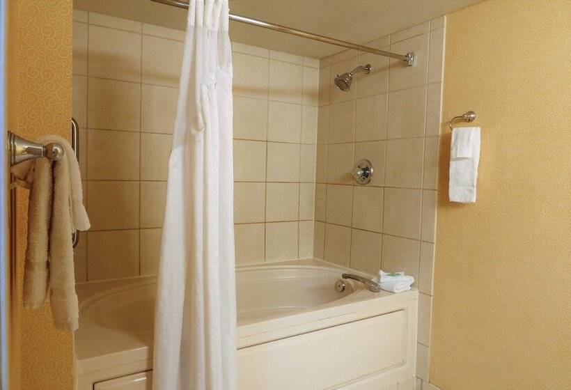 스탠다드 룸, Greentree Hotel Phoenix West