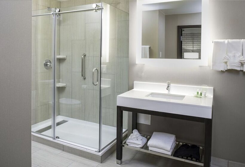 Suite, Holiday Inn Chicago Sw Countryside Confctr By Ihg