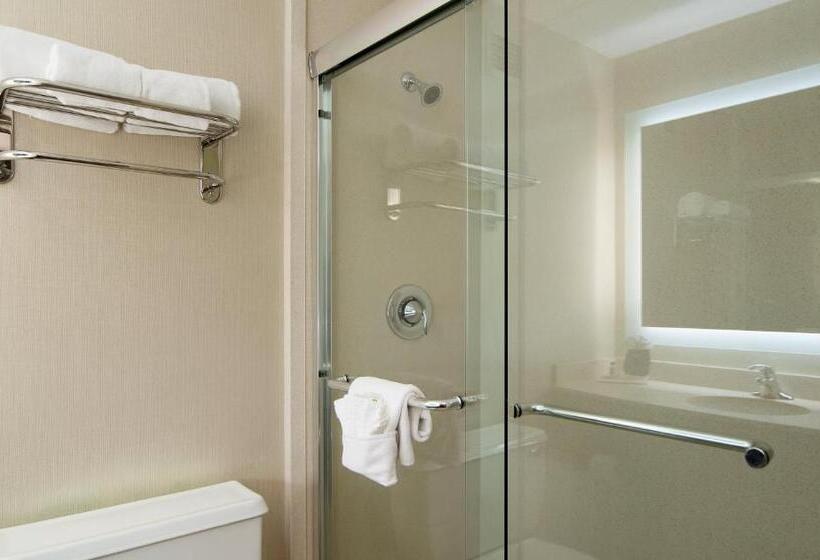 Standard-huone King-vuode, Holiday Inn Nashville Vanderbilt, An Ihg