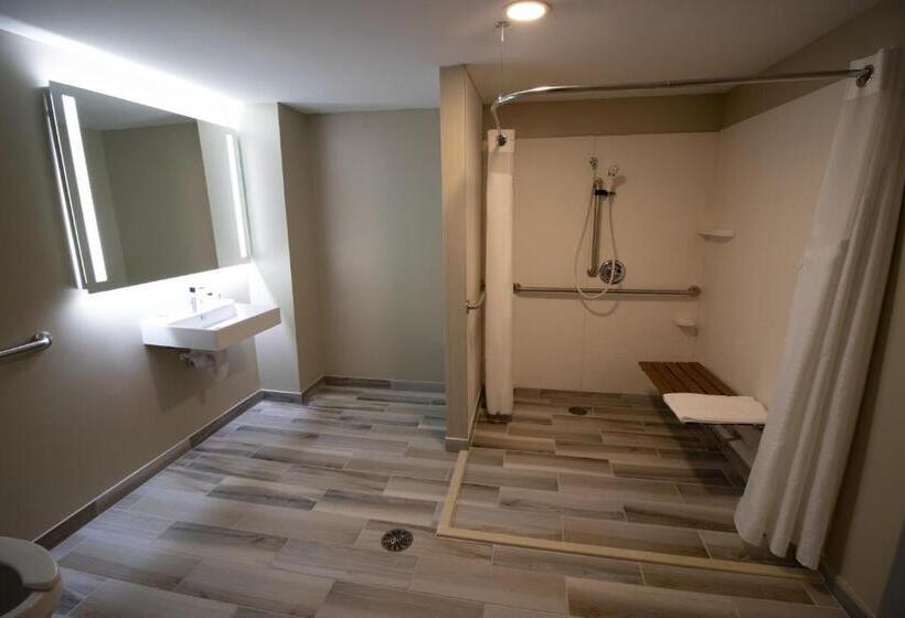Номер Стандарт Кровать Кинг Адаптированный для Инвалидов, Holiday Inn Scranton East   Dunmore, An Ihg