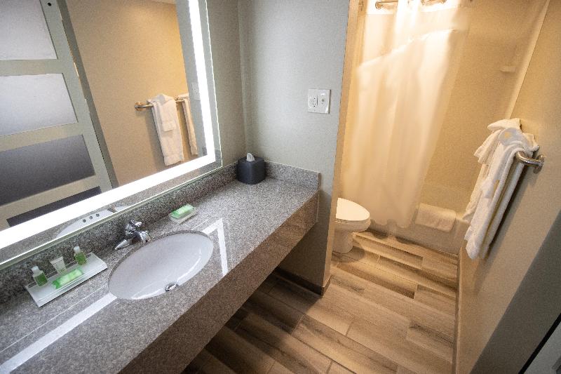 Стандартный Номер Кровать Кинг, Holiday Inn Scranton East   Dunmore, An Ihg