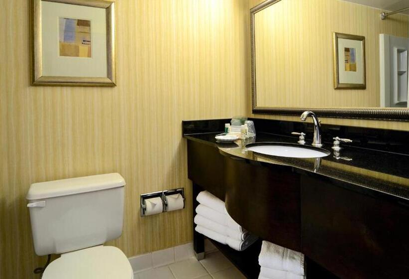 Стандартный Номер Кровать Кинг, Holiday Inn Washington D.c.   Greenbelt Maryland, An Ihg