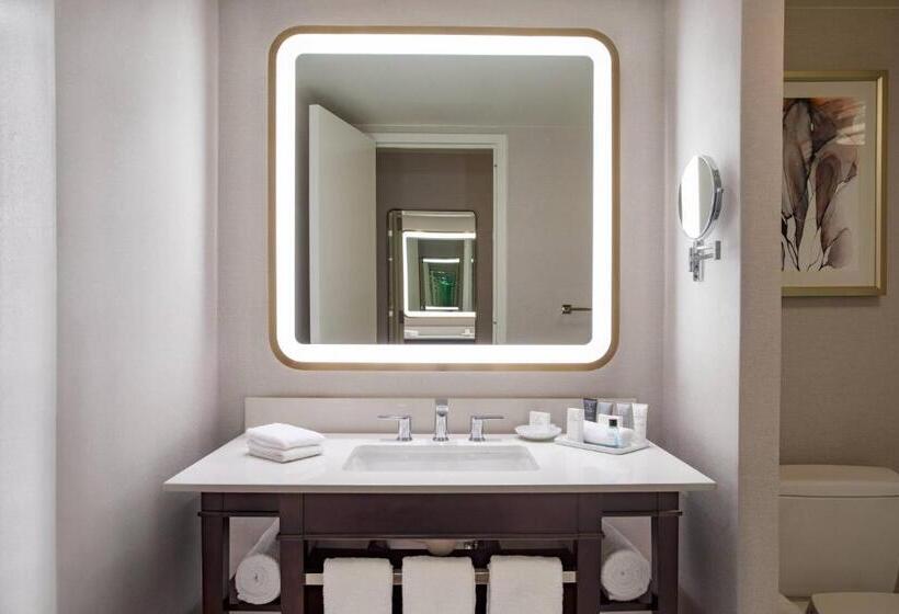 חדר דלוקס,מיטת קינג עם נוף לעיר, Jw Marriott Atlanta Buckhead