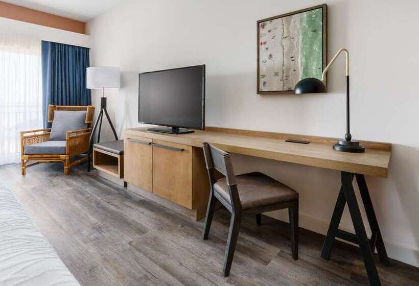 Номер Стандарт, Hilton Garden Inn St. Pete Beach