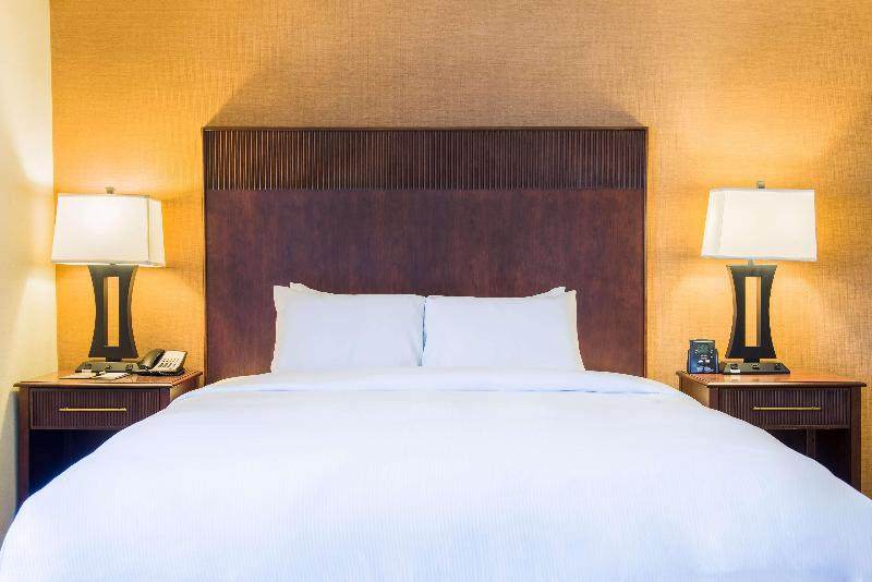 带大床的套房, Doubletree By Hilton Philadelphia Airport
