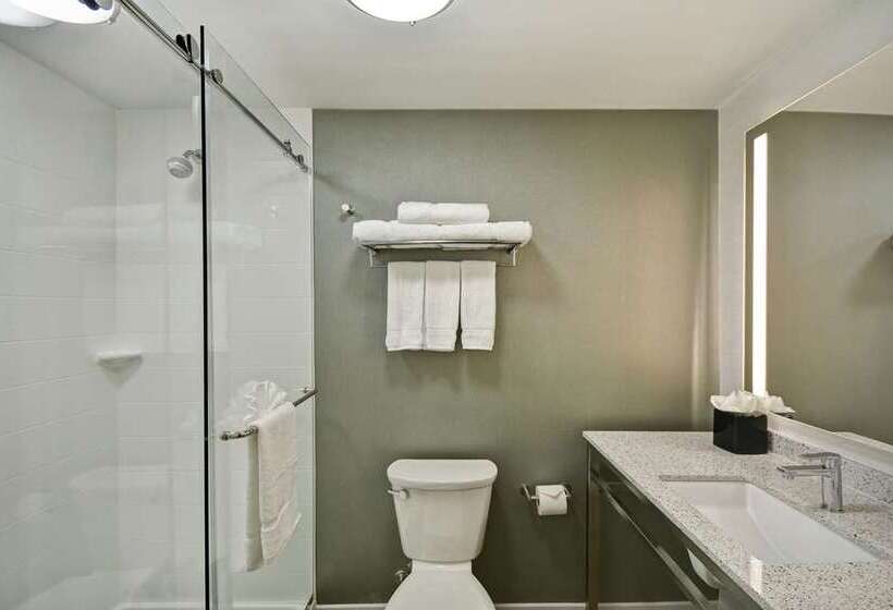 اتاق استاندارد با تخت بزرگ, Hilton Los Angeles Airport