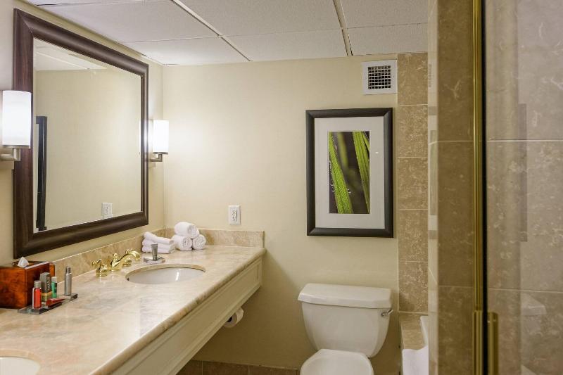 Номер Стандарт, Houston Marriott West Loop By The Galleria