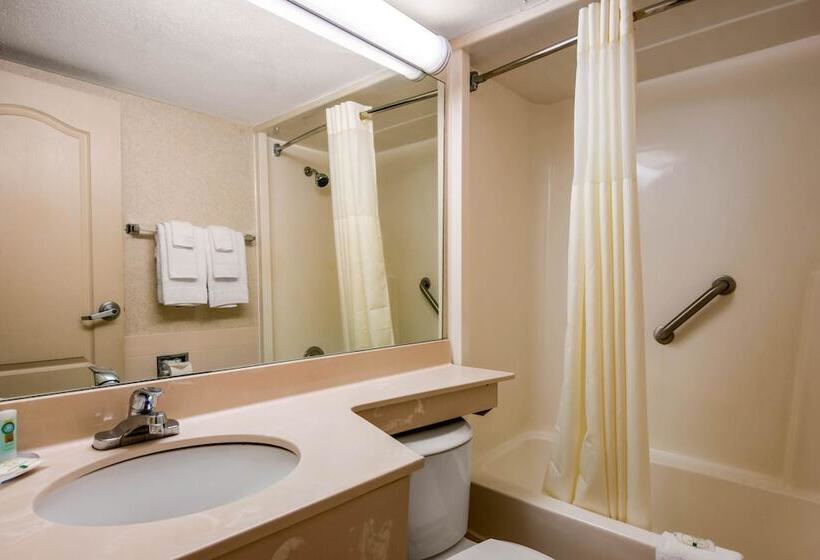 Номер Стандарт 2 Двуспальные Кровати, Quality Inn & Suites Tarpon Springs South