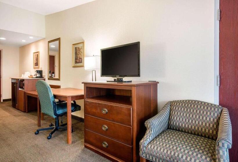 Номер Стандарт 2 Двуспальные Кровати, Quality Inn & Suites Tarpon Springs South