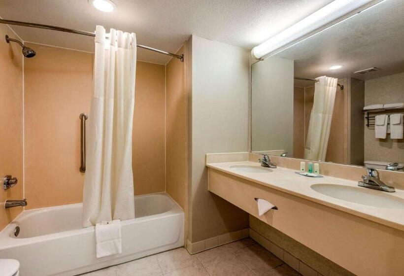 Люкс Кровать Кинг, Quality Inn & Suites Tarpon Springs South